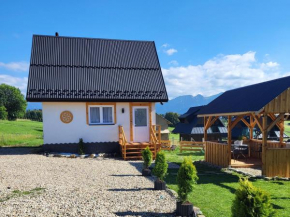 Domek u Hanci 2, Ząb